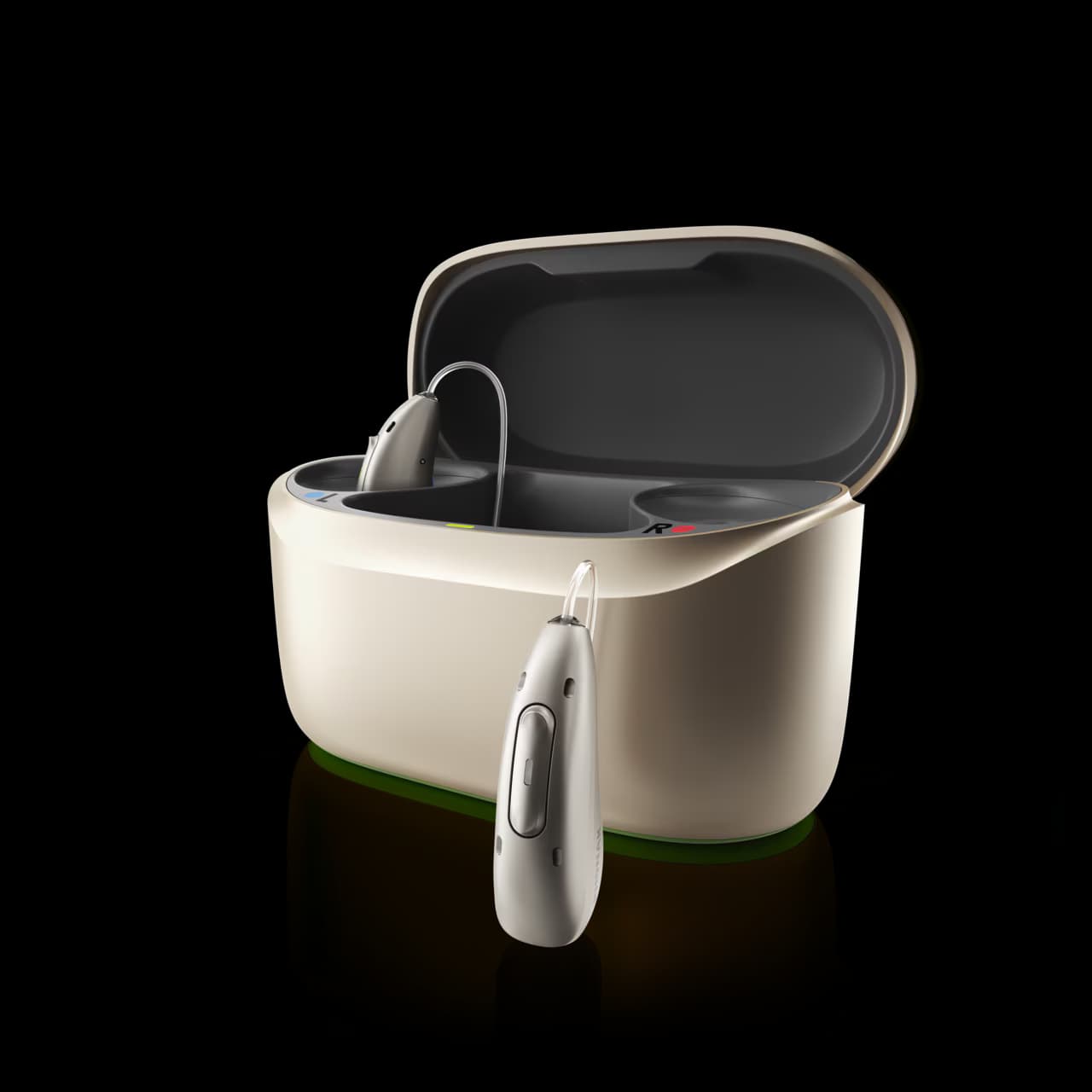 Hearing aid detail